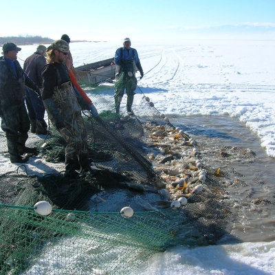 Carp-ice-fishing