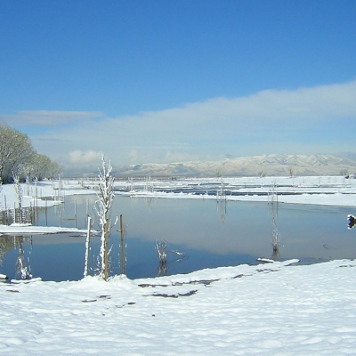 hobble-creek-winter